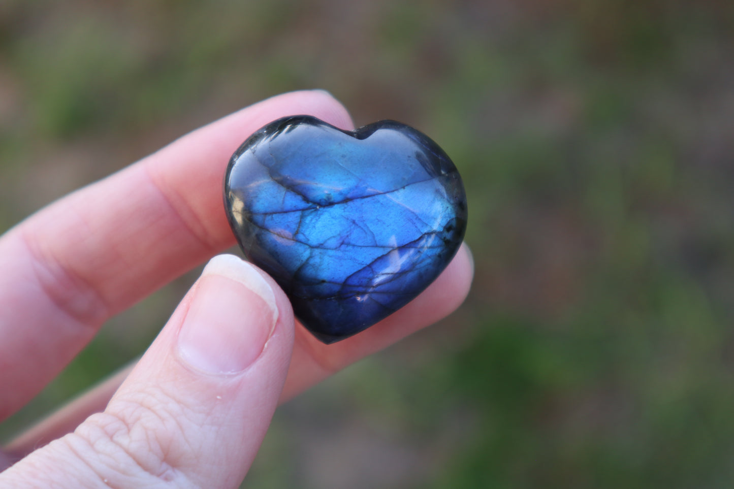 Flashy Lab Heart Carvings