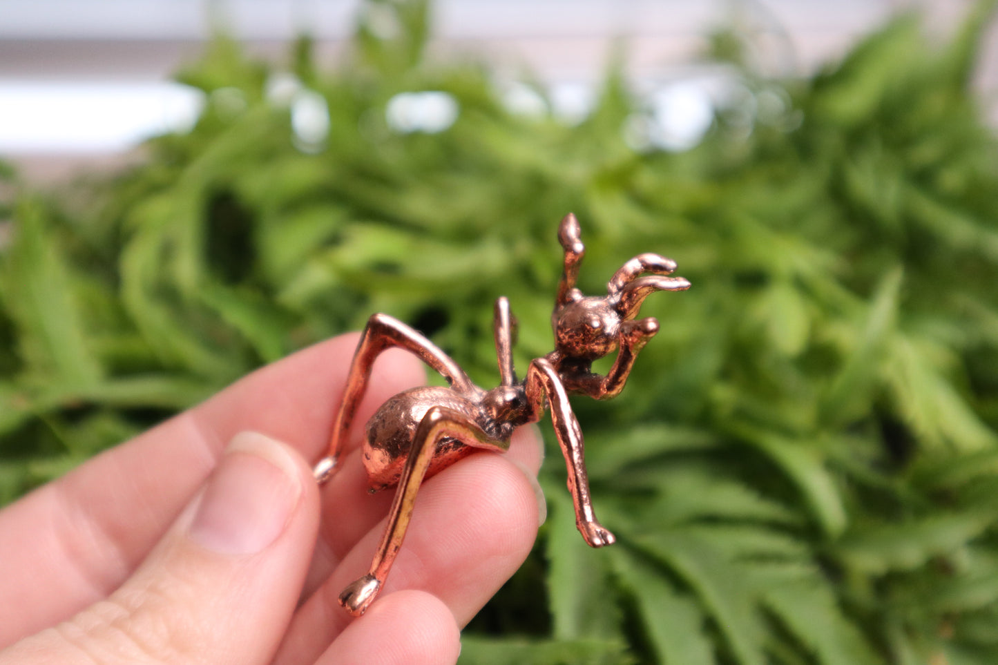 Ant Stands