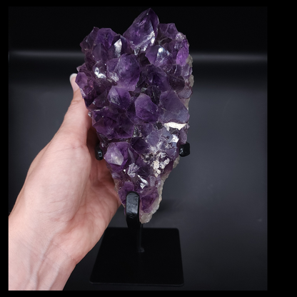 Stunning Amethyst Cluster from Brazil on custom Metal Stand 1.335kg