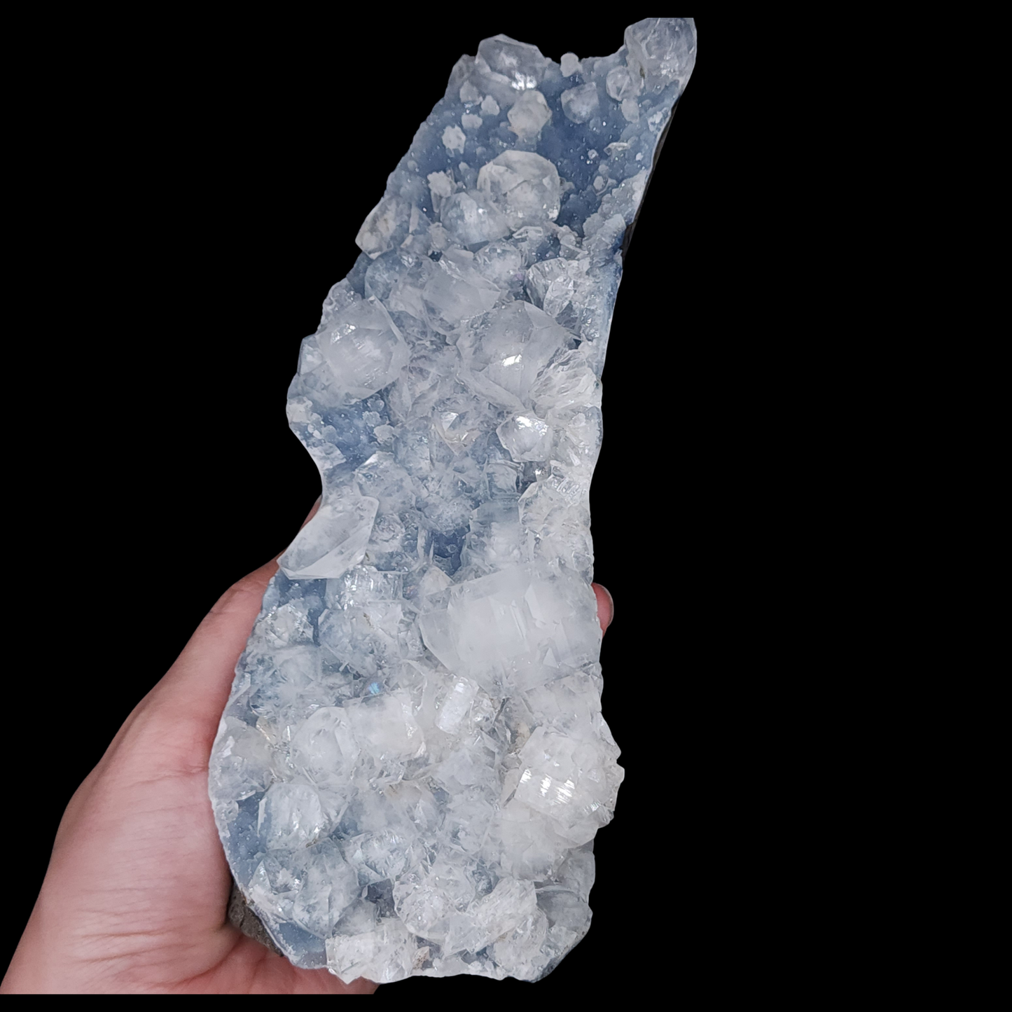 Cubic Apophyllite on Blue Chalcedony Statement Cutbase from India 1.042kg