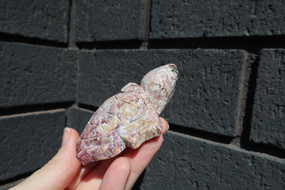 Ocean Jasper Turtle Carving 120g