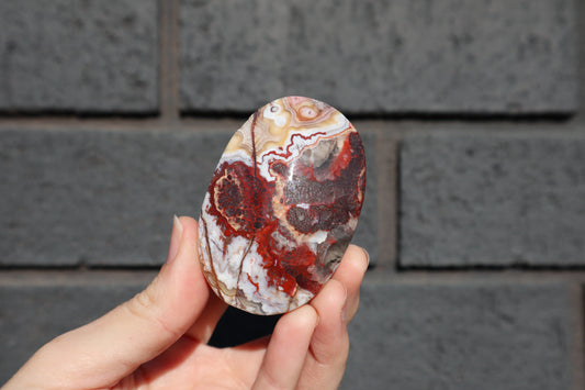 Mexican Crazy Lace Agate Palm Stone MP11
