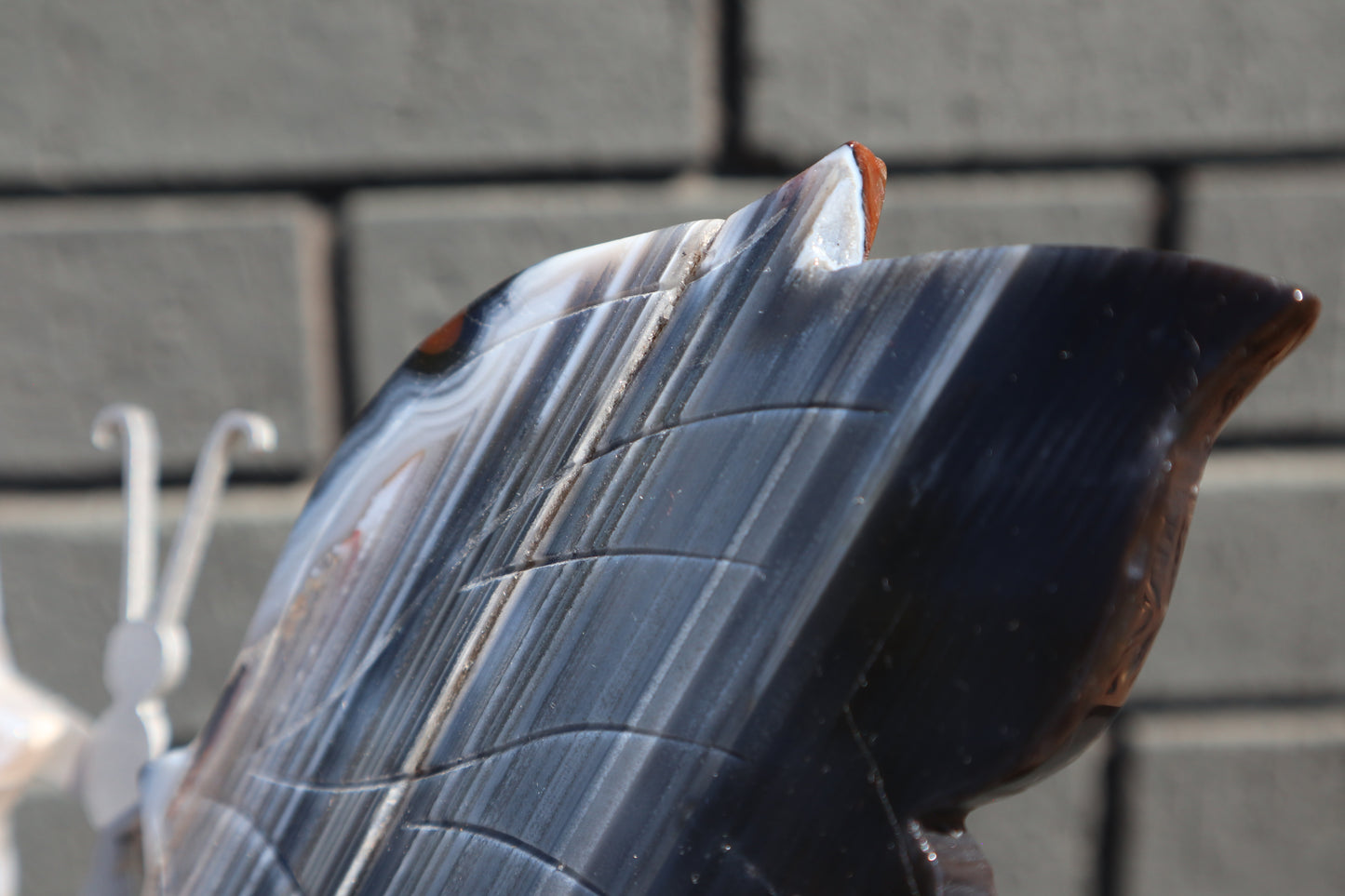 Agate Butterfly Wings on Custom Stand