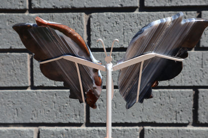 Agate Butterfly Wings on Custom Stand