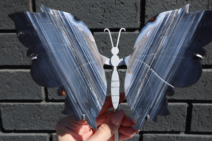Agate Butterfly Wings on Custom Stand