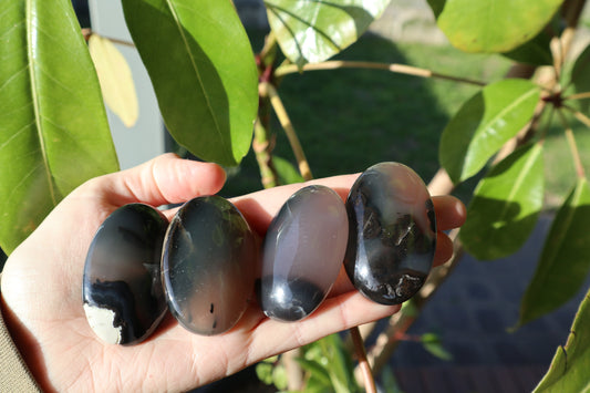 Volcano Agate Palm Stones Strong UV