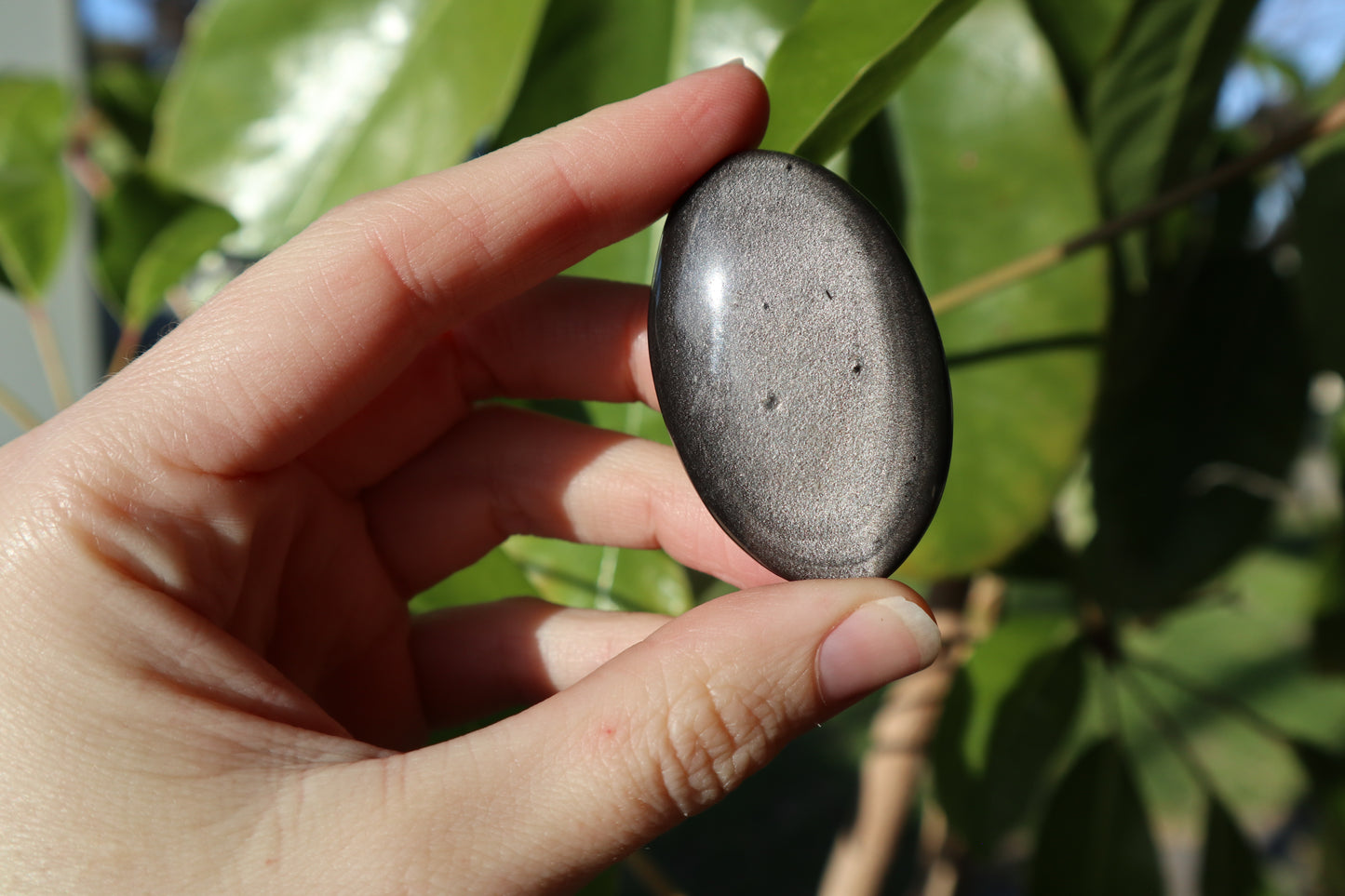 Silver Obsidian Palm Stones