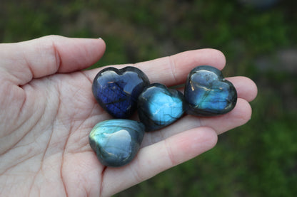 Flashy Lab Heart Carvings