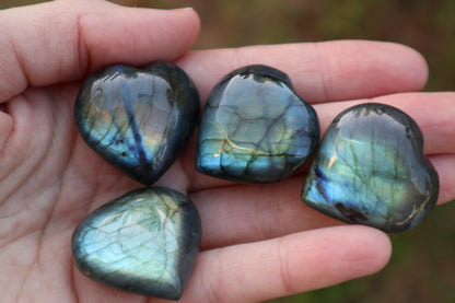 Flashy Lab Heart Carvings