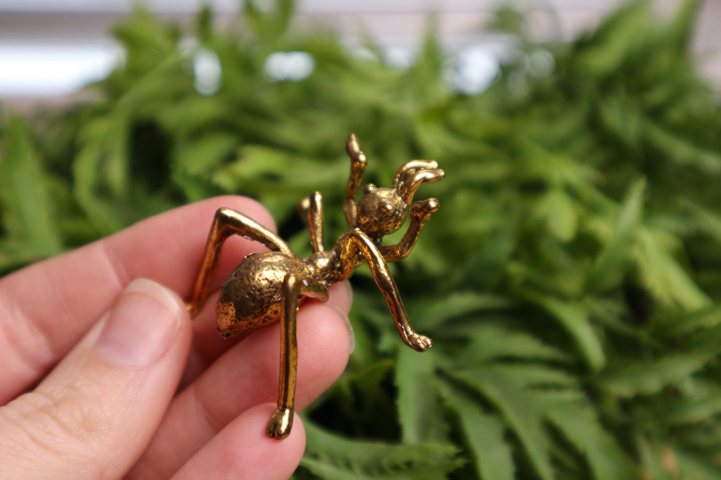 Ant Stands