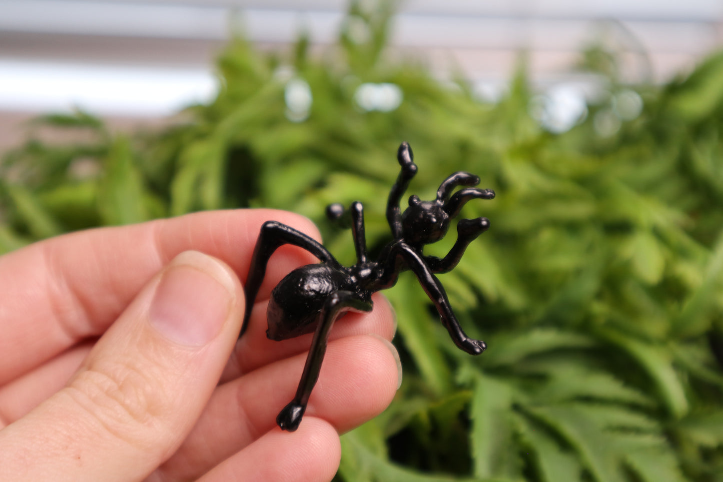 Ant Stands