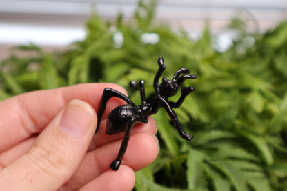 Ant Stands
