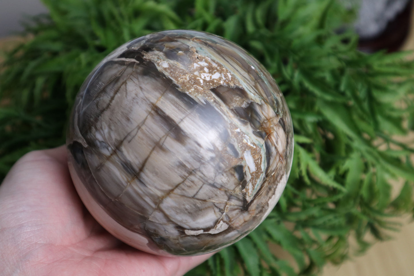 Large Petrified Wood Sphere 1.633kg