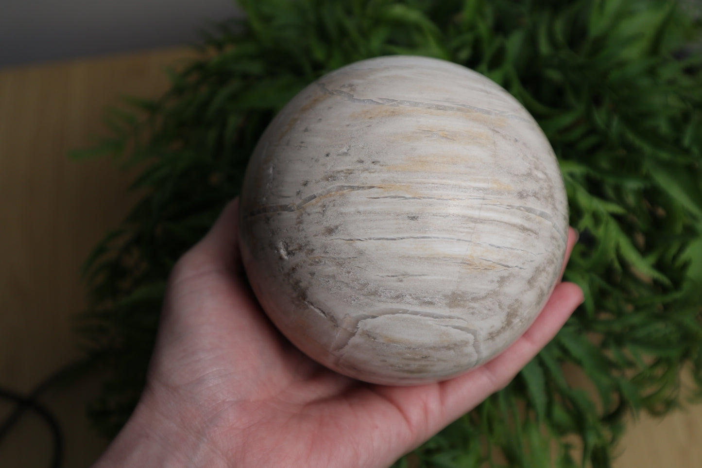 Large Petrified Wood Sphere 1.633kg