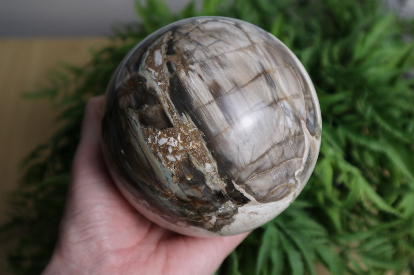 Large Petrified Wood Sphere 1.633kg