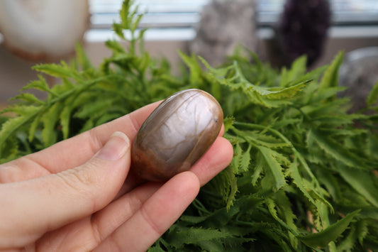 Moonstone & Sunstone Palms