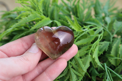 Smoky Quartz Heart Carvings